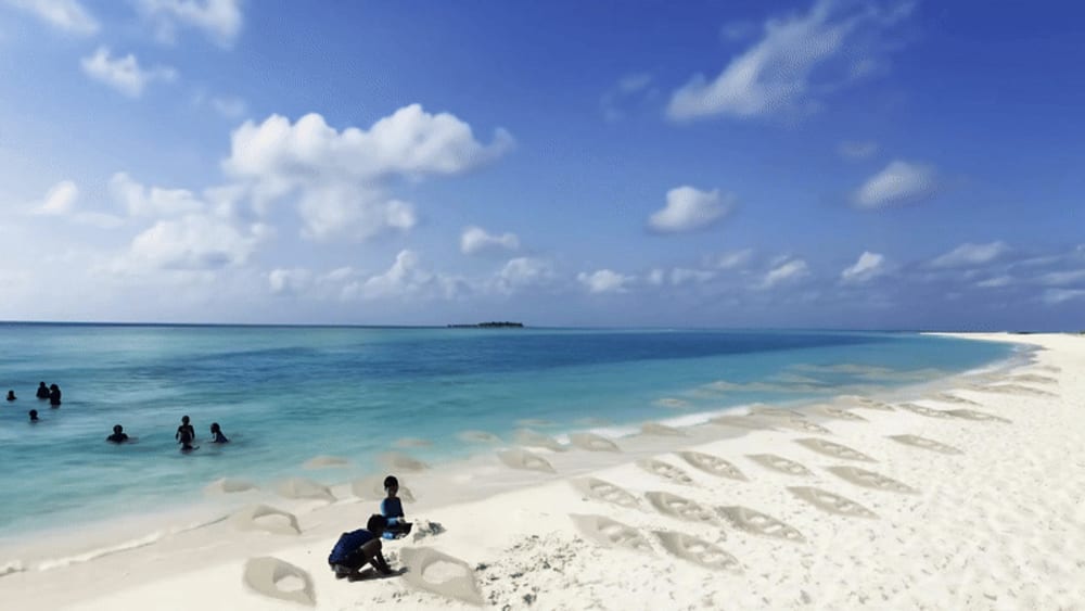 Cast shell forms arrayed across a white sand shoreline in the Maldives, with people working at the water's edge.